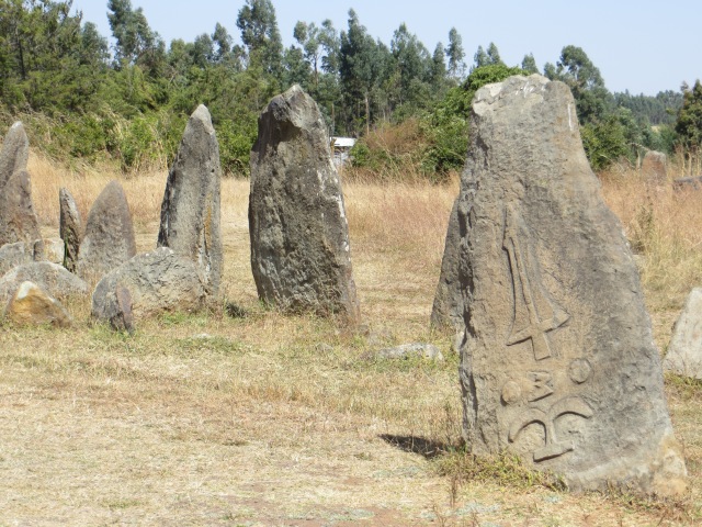 The stellae at Tiya, a World Heritage site, mark the graves of individuals who died 700 years ago.  